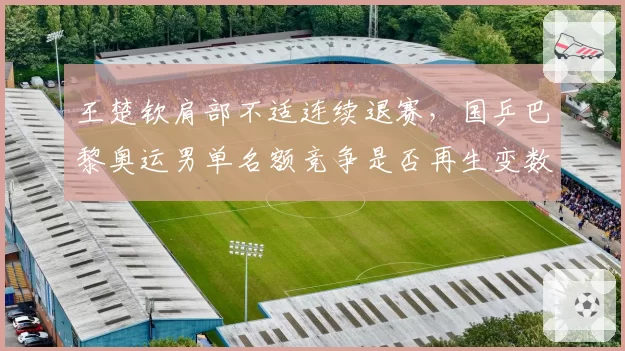 王楚钦肩部不适连续退赛，国乒巴黎奥运男单名额竞争是否再生变数？