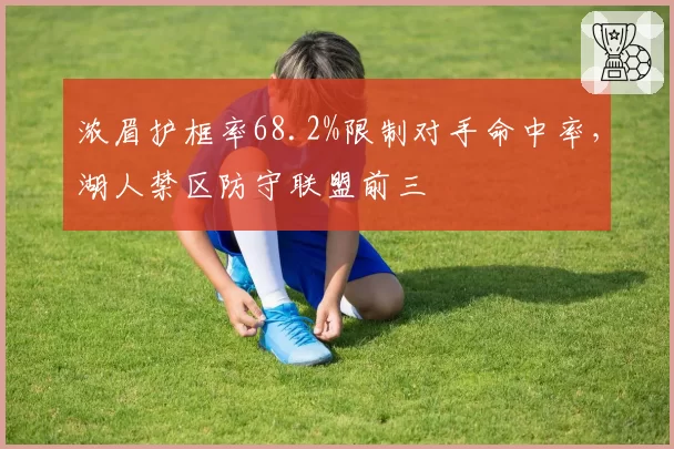 浓眉护框率68.2%限制对手命中率,湖人禁区防守联盟前三