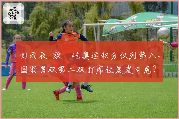 刘雨辰_欧烜屹奥运积分仅列第八，国羽男双第二双打席位岌岌可危？